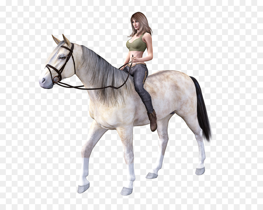 Cheval，Bride PNG