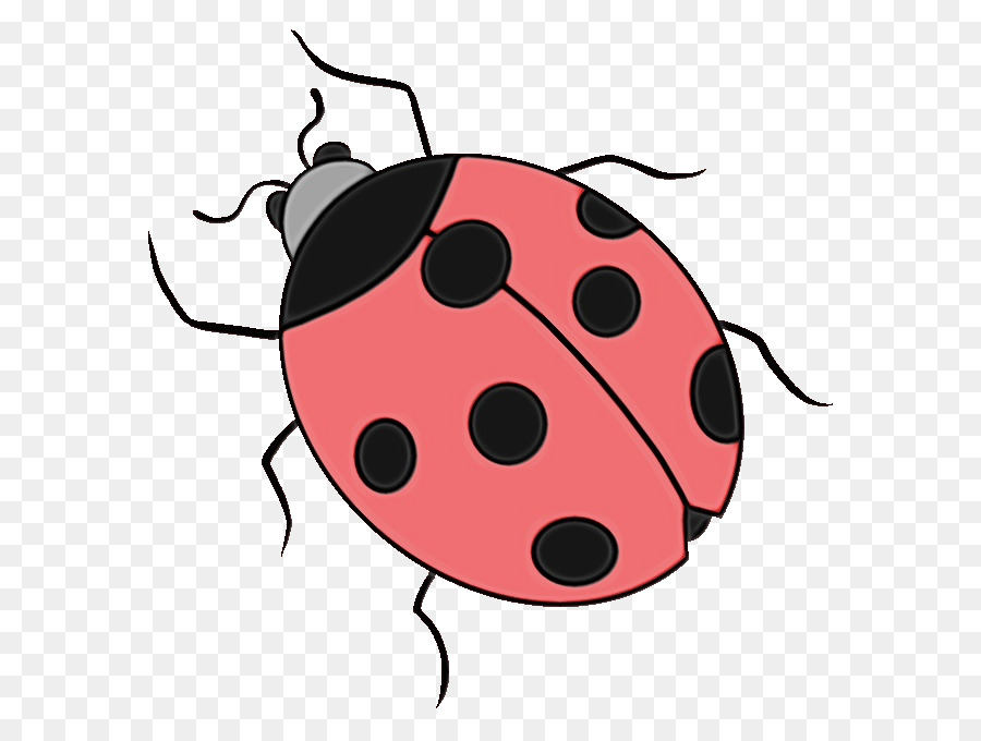 Coccinelle，Bogue PNG