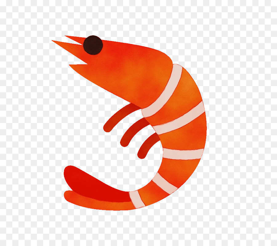 Orange，Crevette PNG