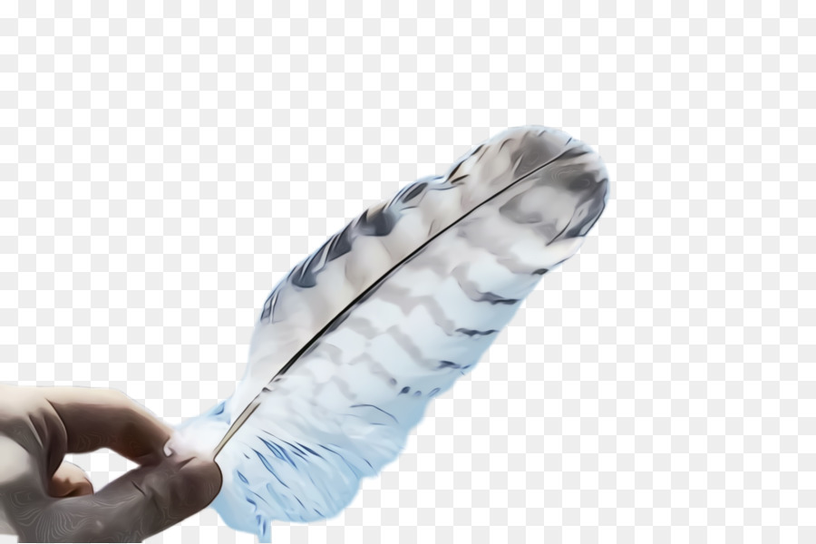 Plume，La Main PNG