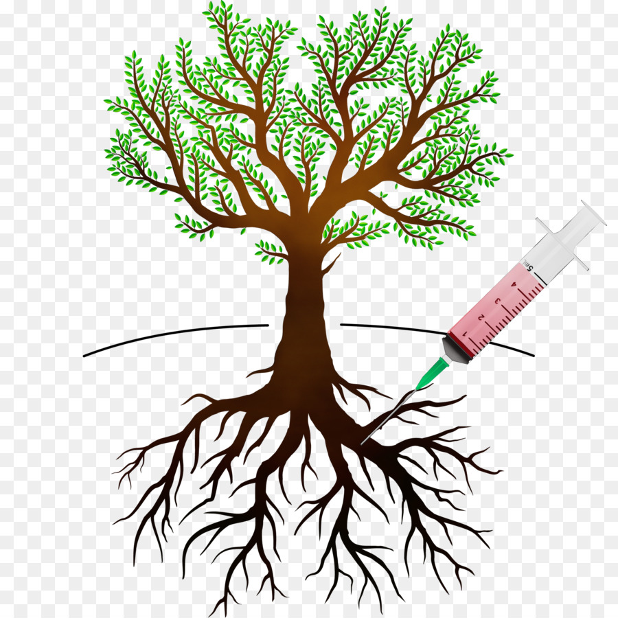 Injection D'arbre，Seringue PNG