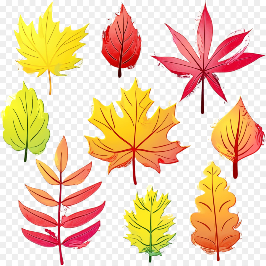 Feuilles Colorées，Automne PNG