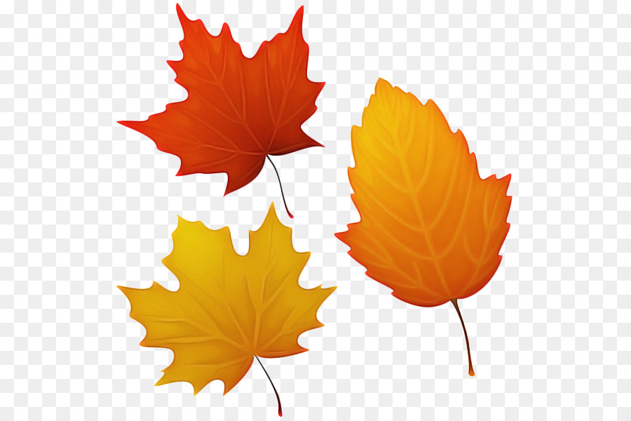 Feuilles D'automne，Automne PNG