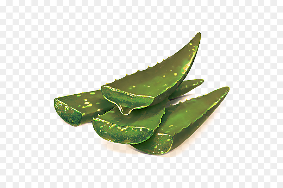 Feuille，Plante PNG