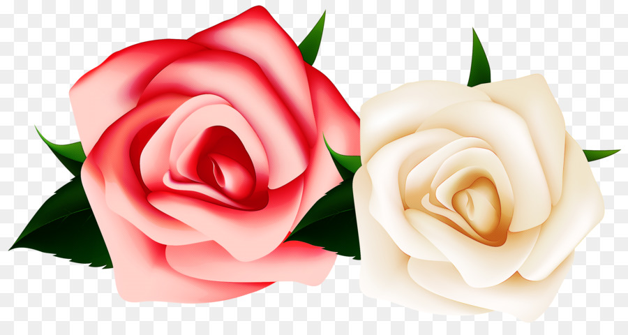 Roses De Jardin，Rose PNG