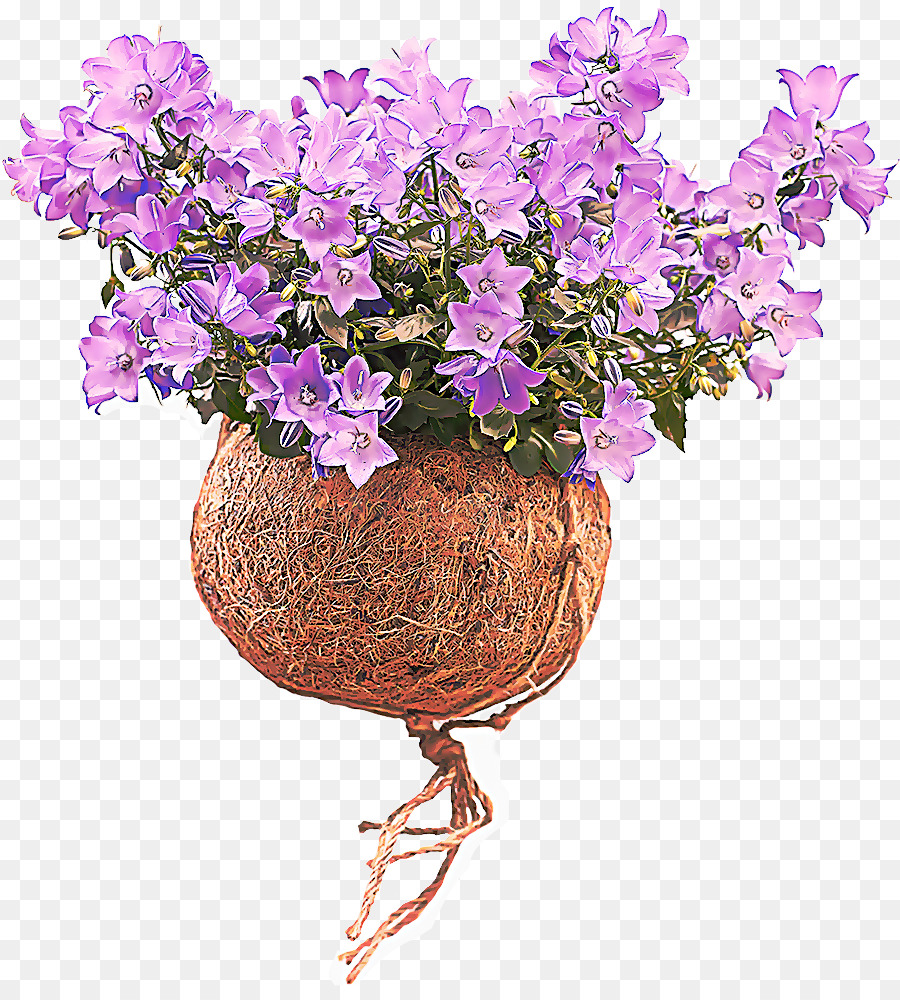 Fleurs Violettes，Fleurir PNG