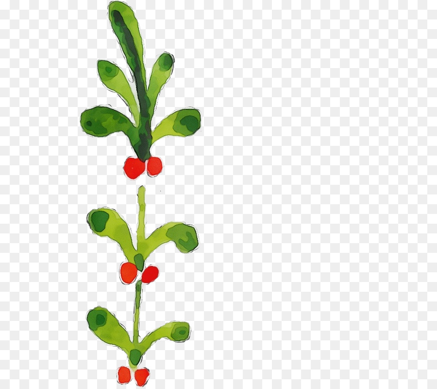 Fleur，Plante PNG