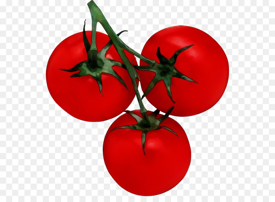 Tomate，Rouge PNG