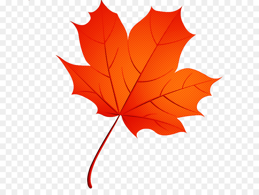 Feuille Rouge，Automne PNG