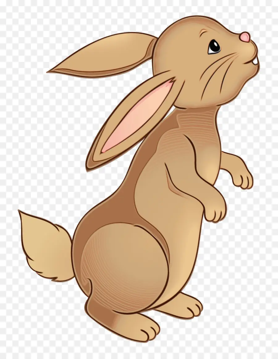 Lapin Jaune，Mignon PNG