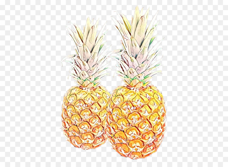 Ananas，Tropical PNG