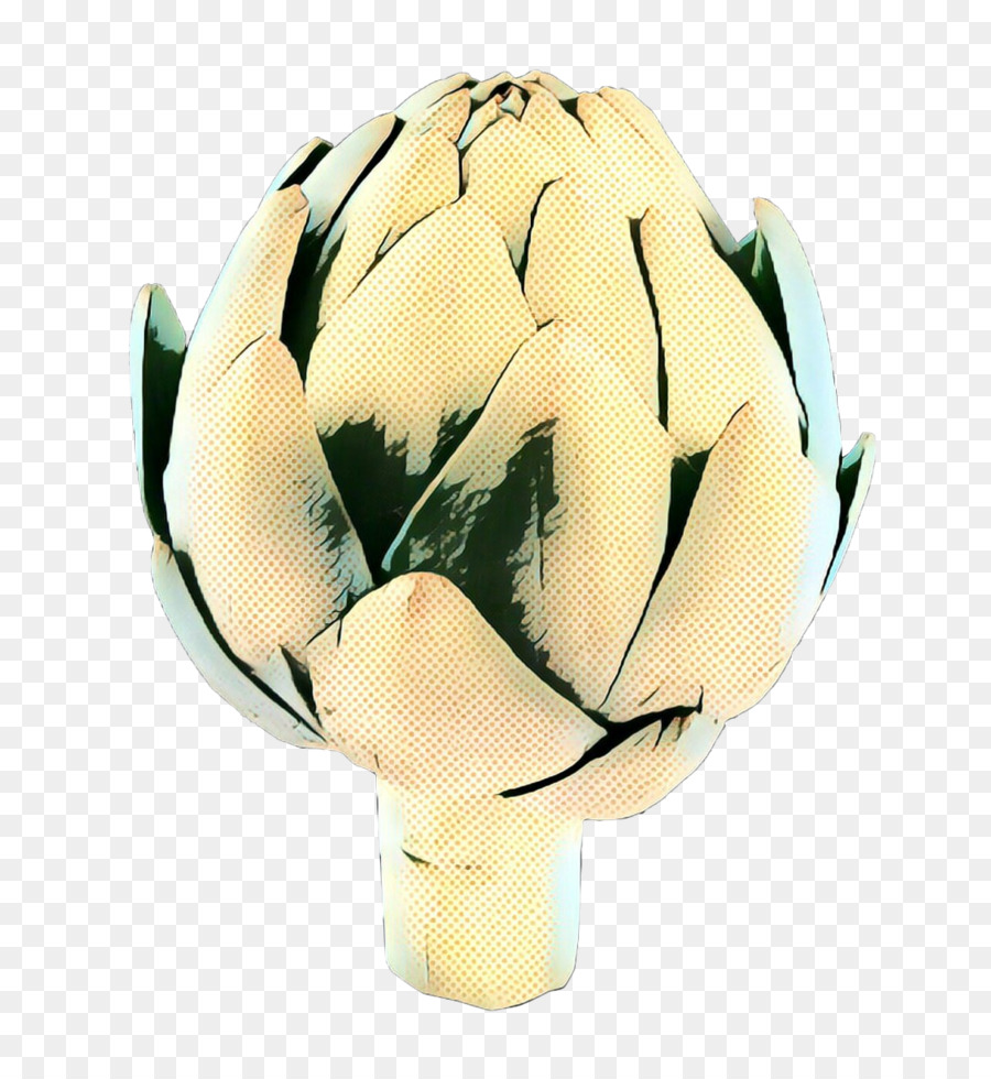 L'artichaut，Fleur PNG