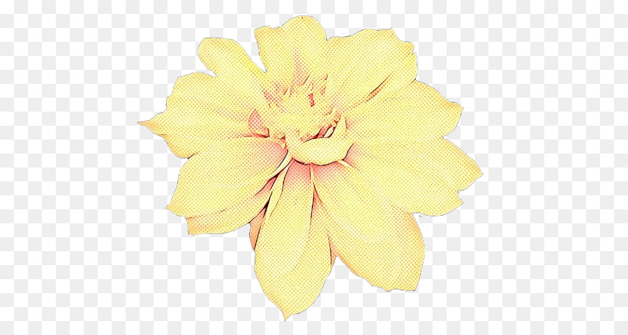 Fleur Jaune，Jonquille PNG