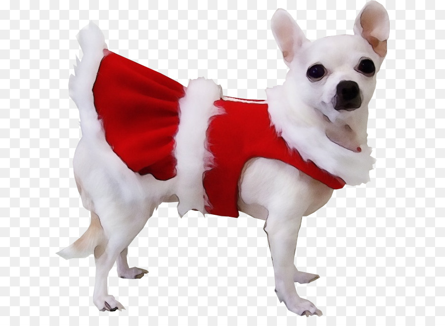 Vêtements De Chien，Chien PNG