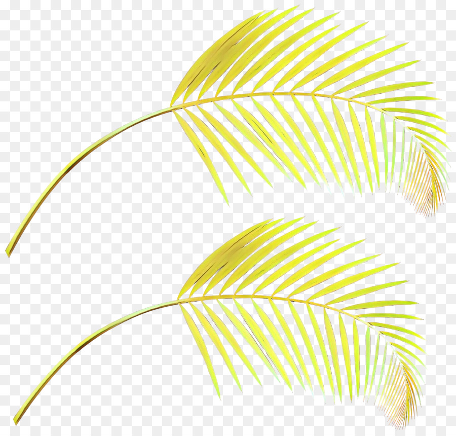 Feuilles De Palmier，Vert PNG