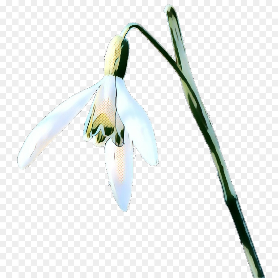 Fleur，Fleurir PNG