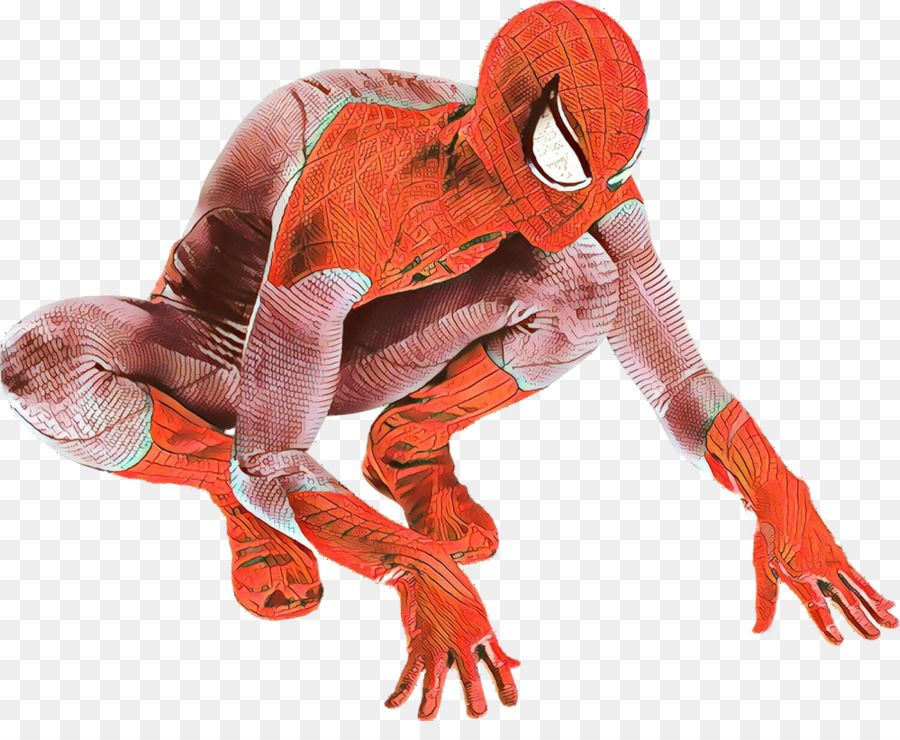 Orange，Muscle PNG