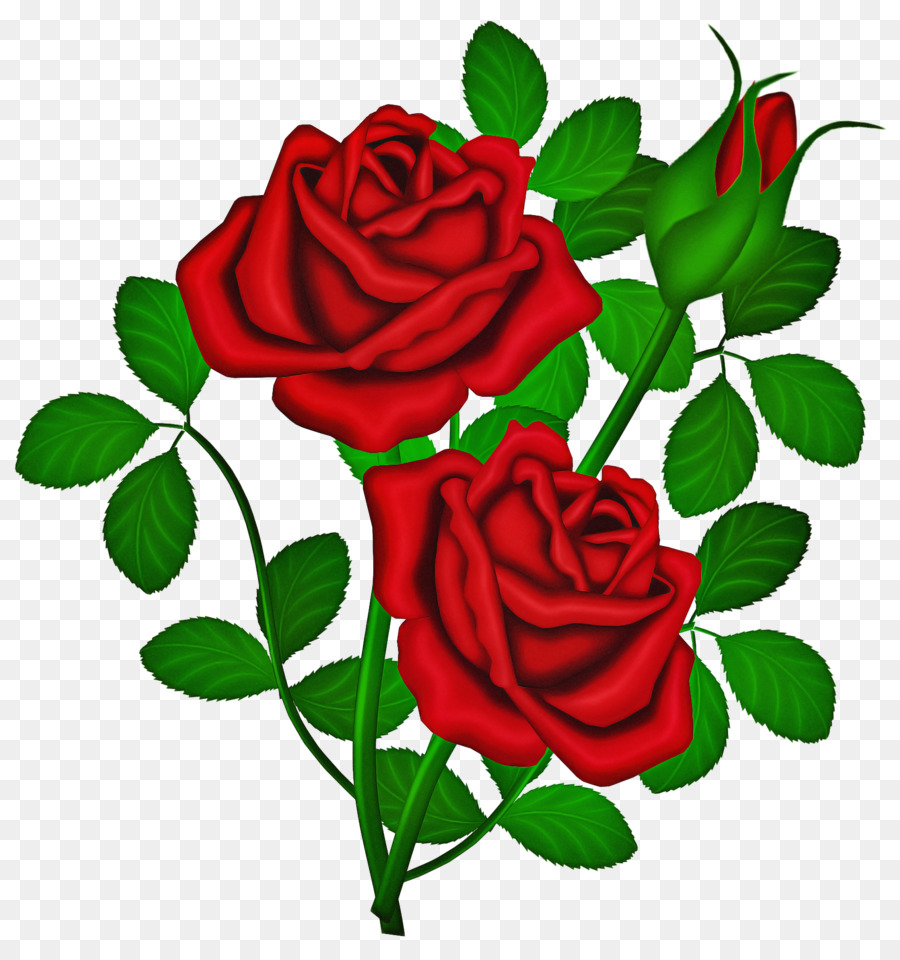 Roses Violettes，Fleurs PNG