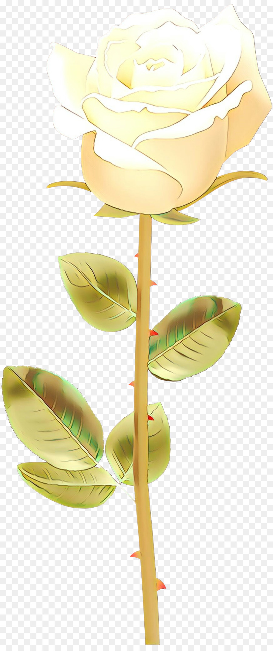 Jaune，Fleur PNG