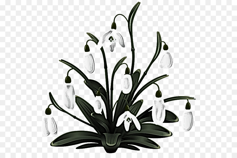 Plante，Fleur PNG