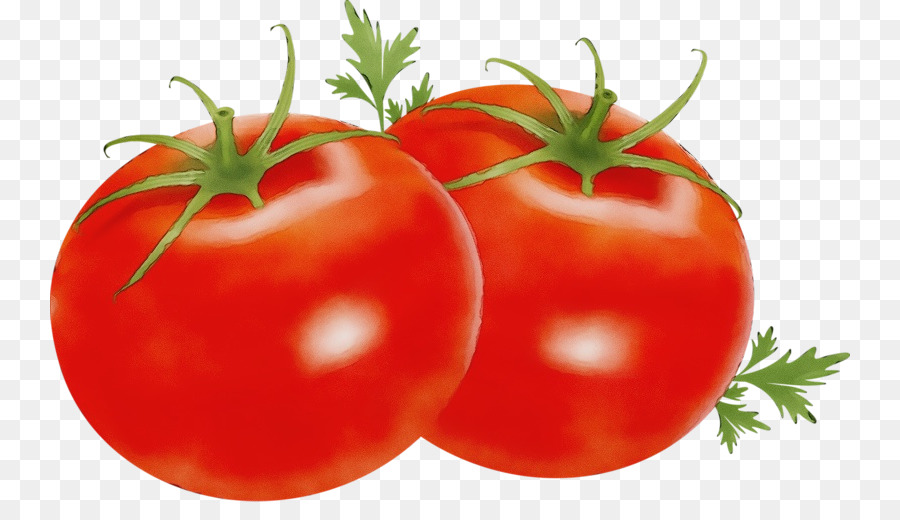 Tomates Rouges，Feuilles Vertes PNG