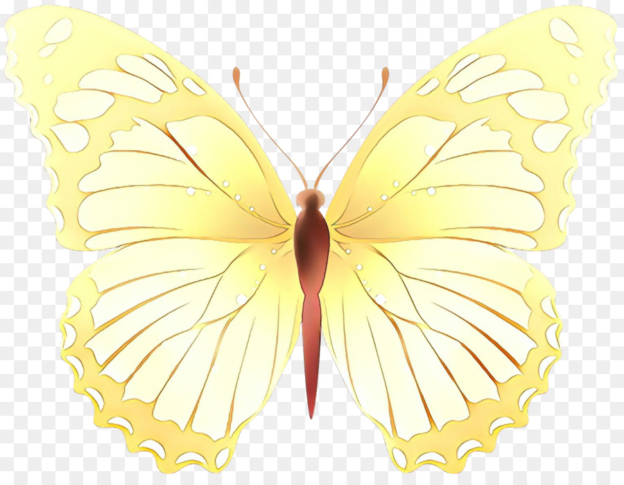 Papillon Blanc，Insecte PNG