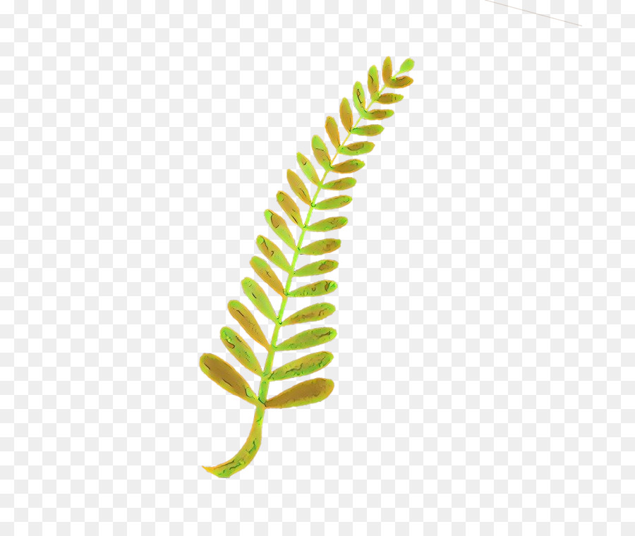 Feuille Verte，Nature PNG