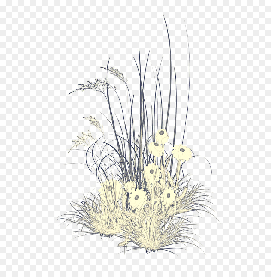 Herbe，Décor D'aquarium PNG