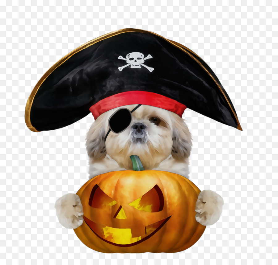 Chien，Shih Tzu PNG