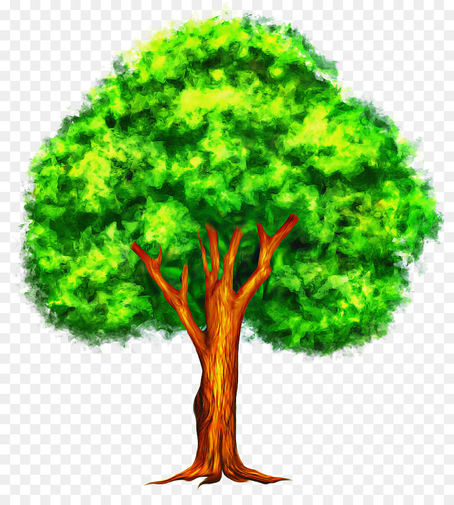 Arbre Vert，Feuilles PNG