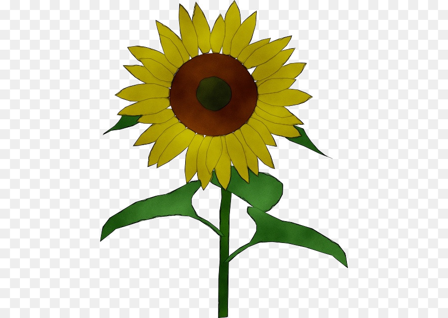 Tournesol，Fleur PNG