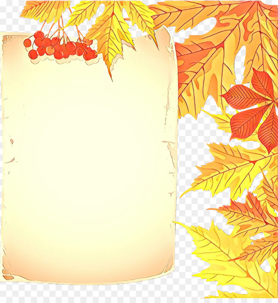 Orange，Feuille PNG