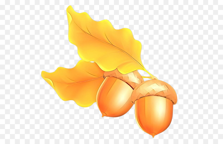 Glands，Feuilles PNG