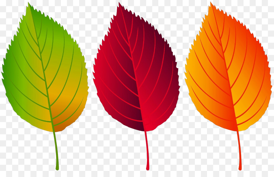 Feuilles D'automne，Automne PNG