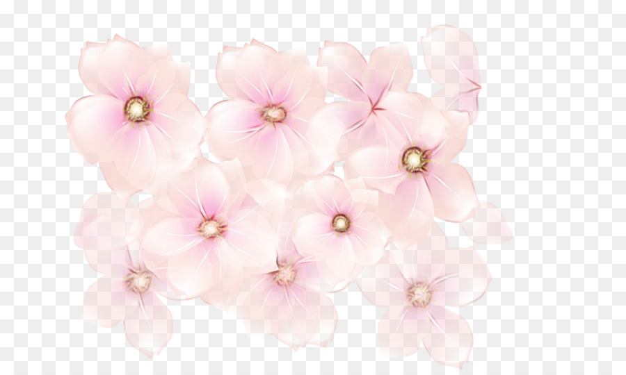 Fleurs Roses，Fleurs PNG