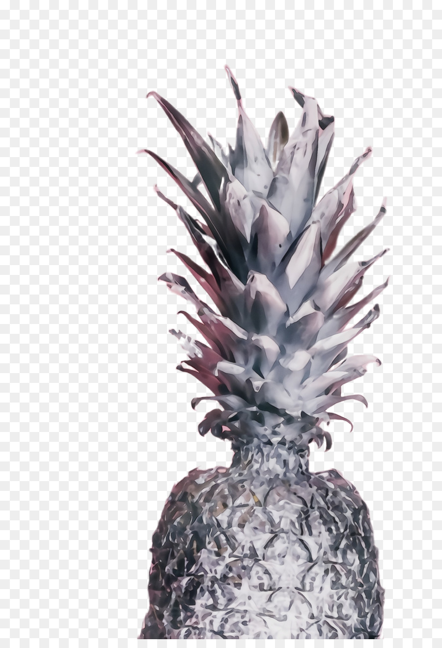 Ananas，Usine PNG