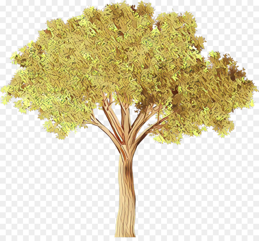 Arbre，Succursales PNG