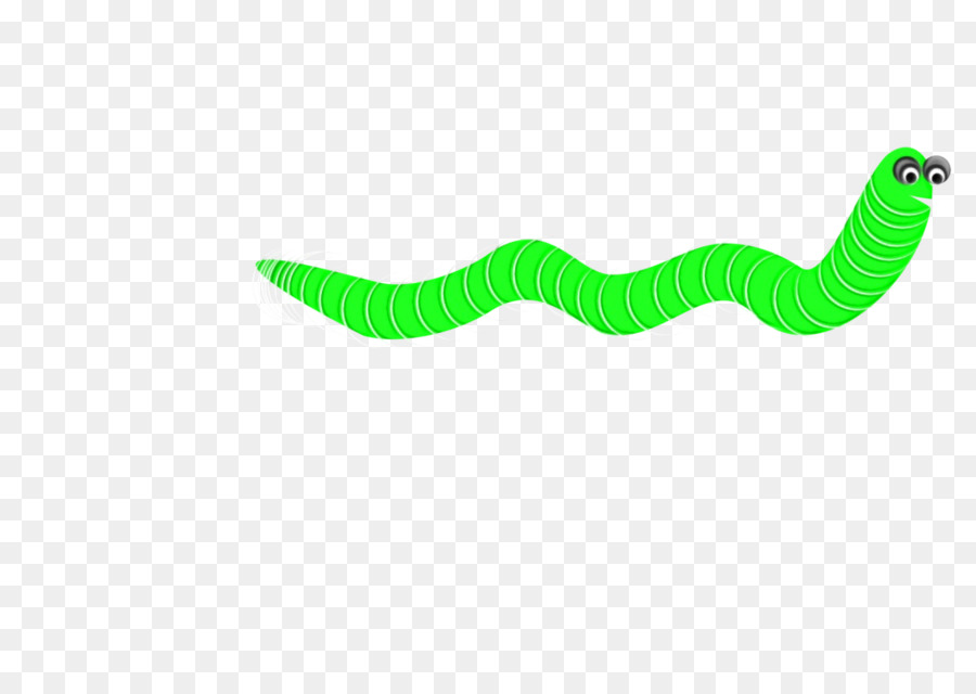 Ver Vert，Insecte PNG