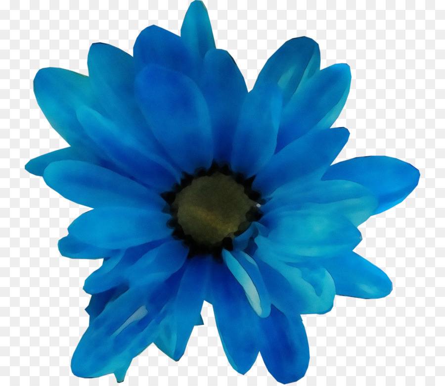 Fleur Bleue，Pétales PNG