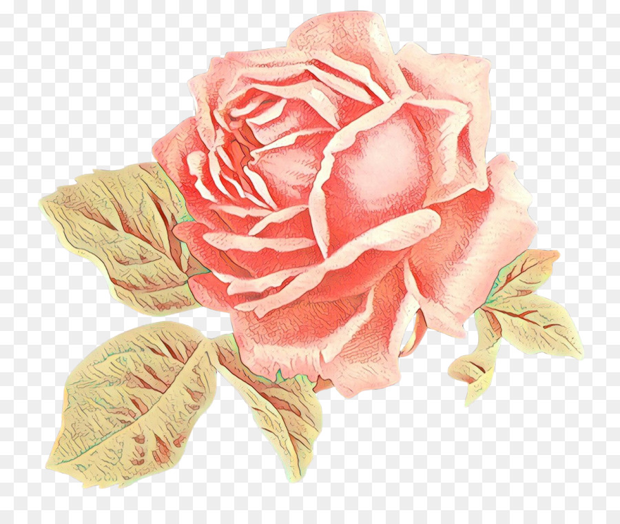 Roses Rouges，Bouquet PNG