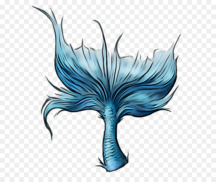 Plume，Aile PNG