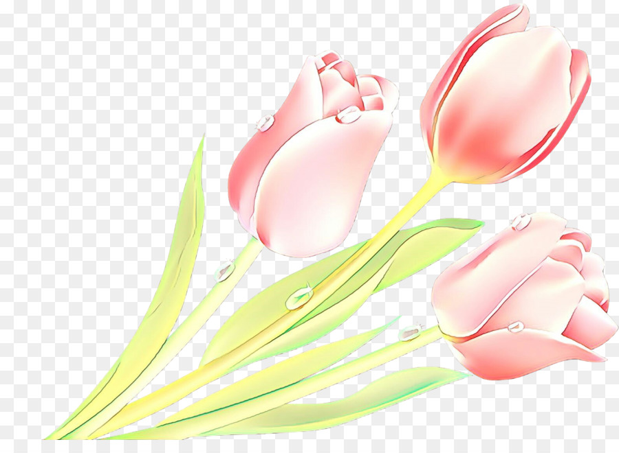 Fleurs，Tulipes PNG