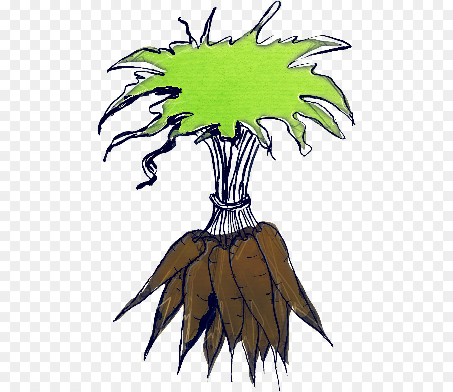 Plante，Arbre PNG