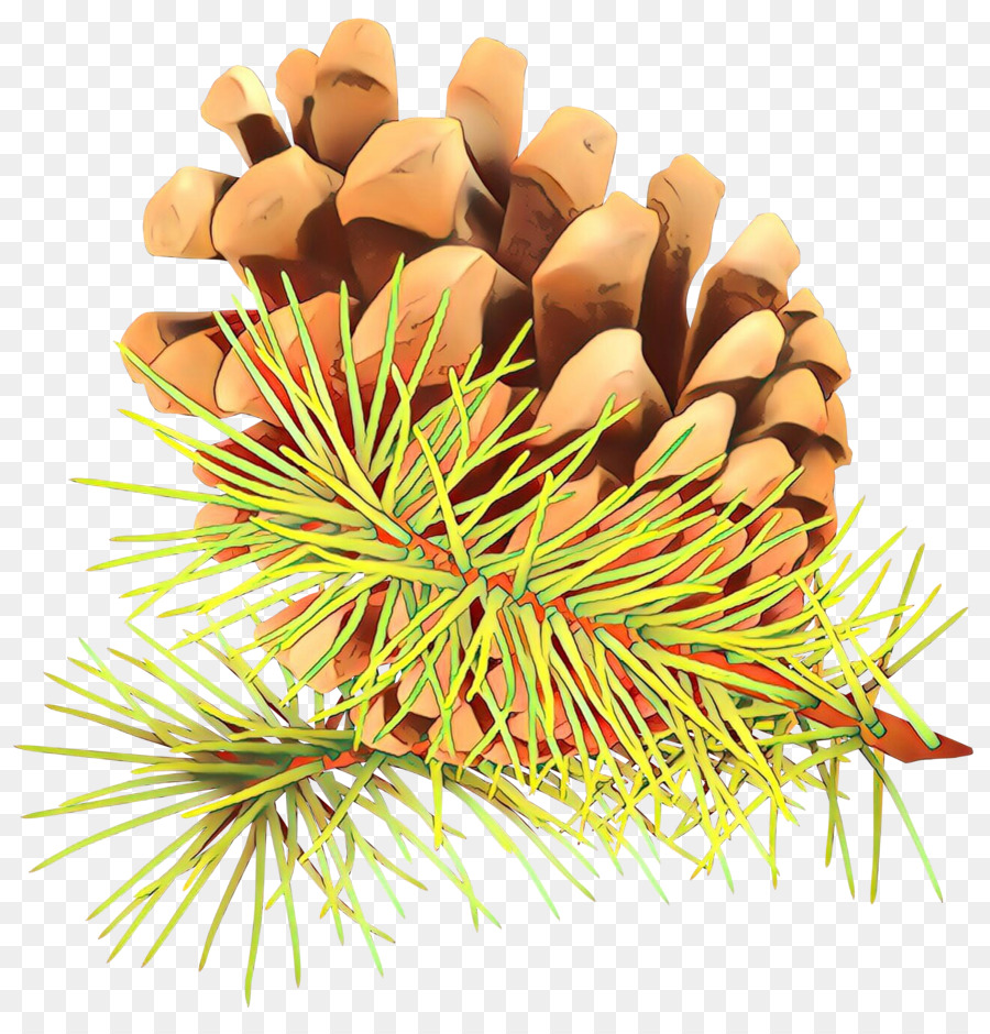 Pomme De Pin，Aiguilles De Pin PNG