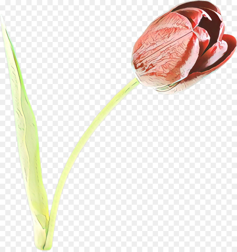 Fleur，Plante PNG