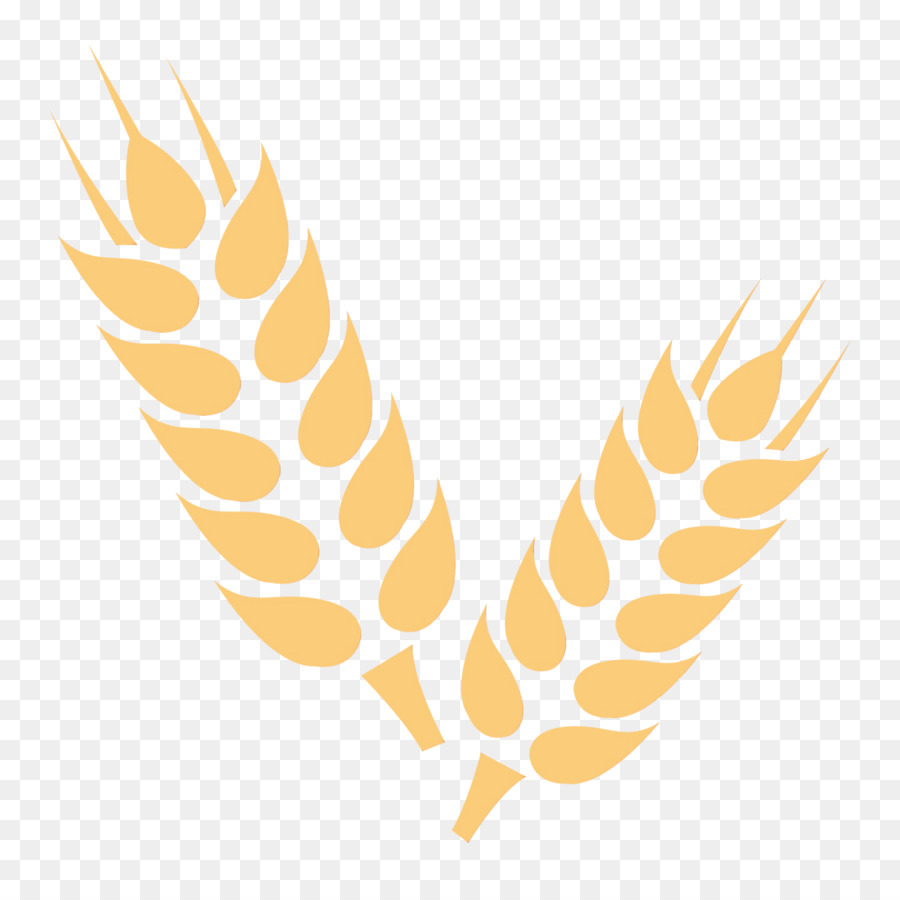 Blé，Grain PNG