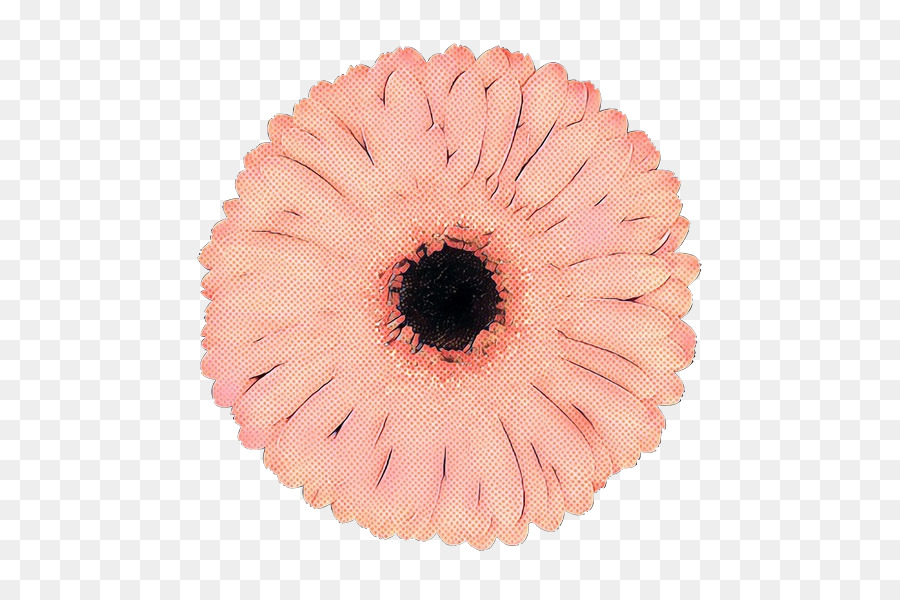 Rose，Gerbera PNG