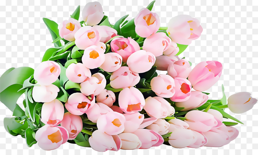 Tulipes Roses，Fleurs PNG