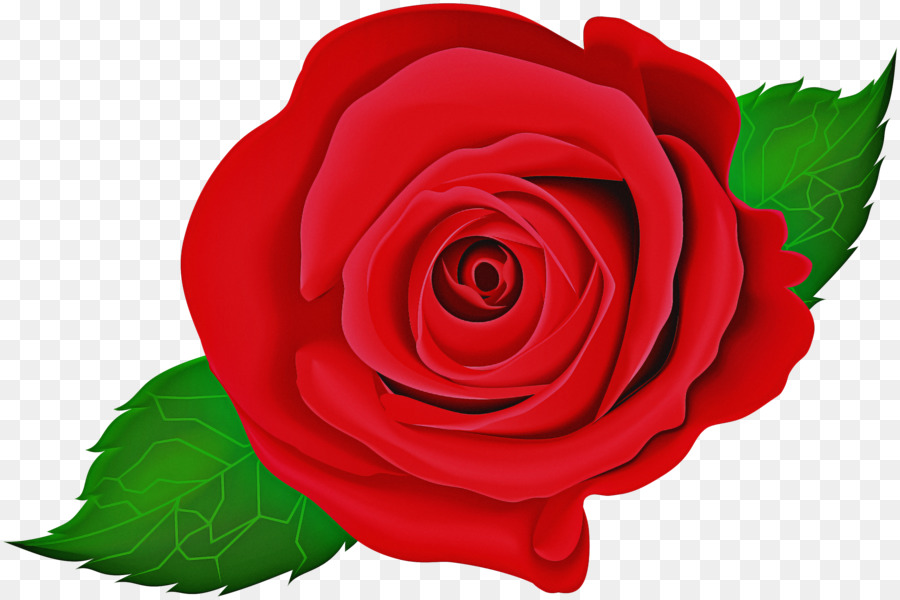 Roses Rouges，Floraison PNG