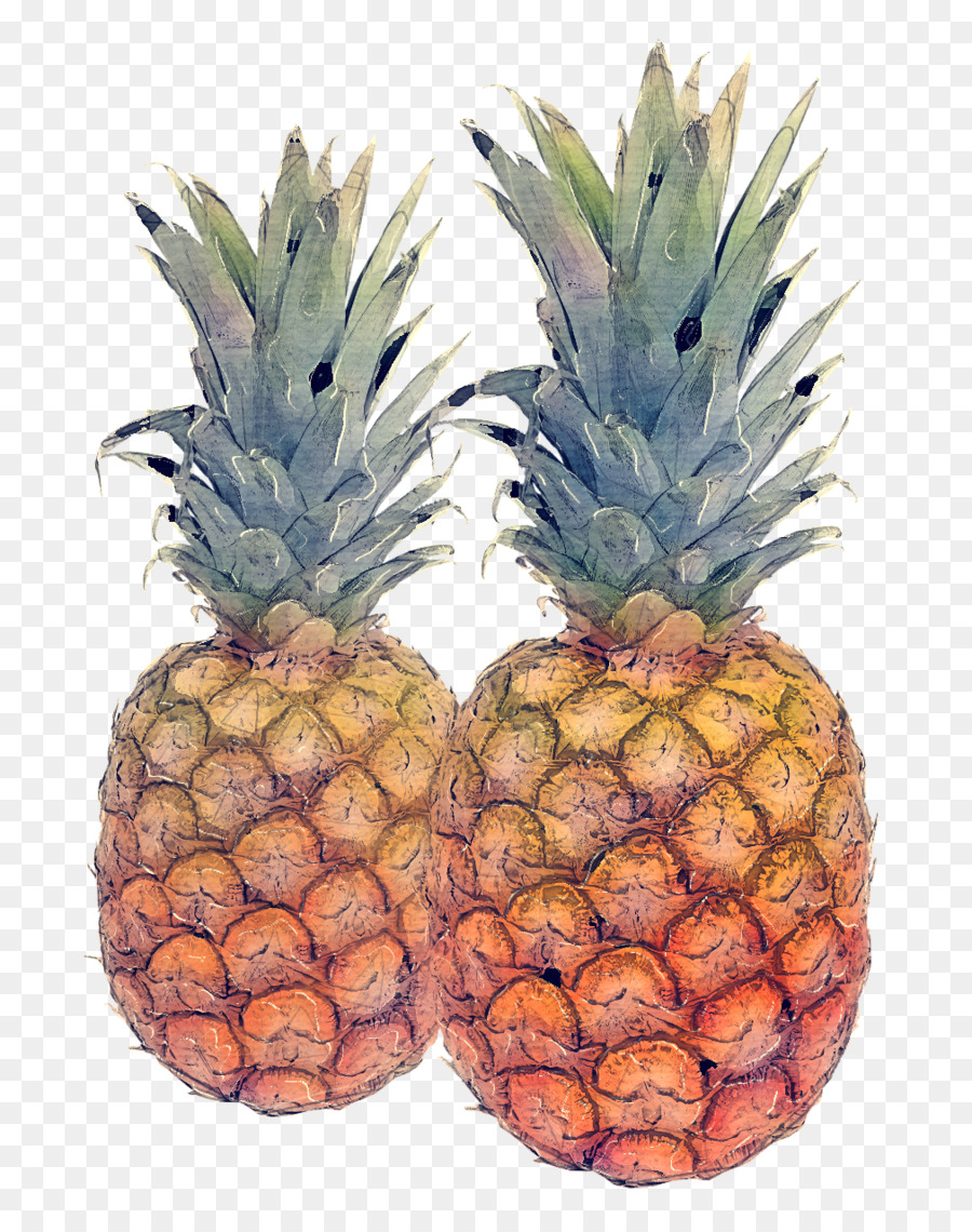 Ananas，Tropical PNG